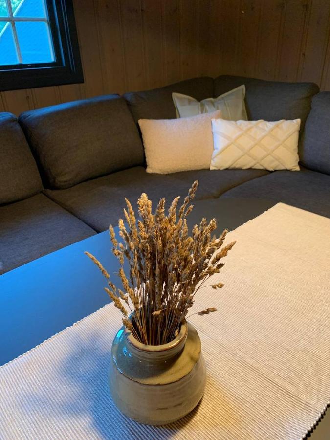 Enok Hytter & Resort Liagardane المظهر الخارجي الصورة