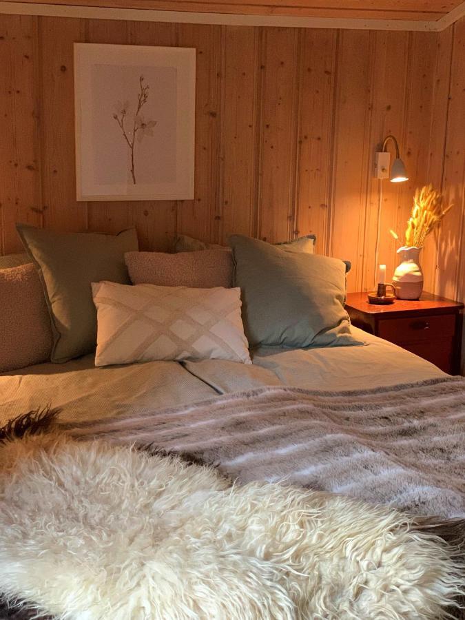 Enok Hytter & Resort Liagardane المظهر الخارجي الصورة